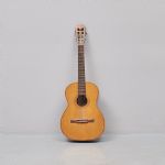 1209 9101 Gitarr